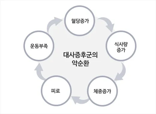 당뇨병 발병 과정과 대사증후군 원인, 증상, 관리법 5 대사증후군의 상호연관성