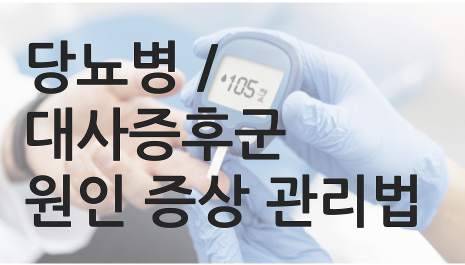 당뇨병 / 대사증후군 원인 증상 관리법